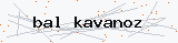 Güvenlik kodu